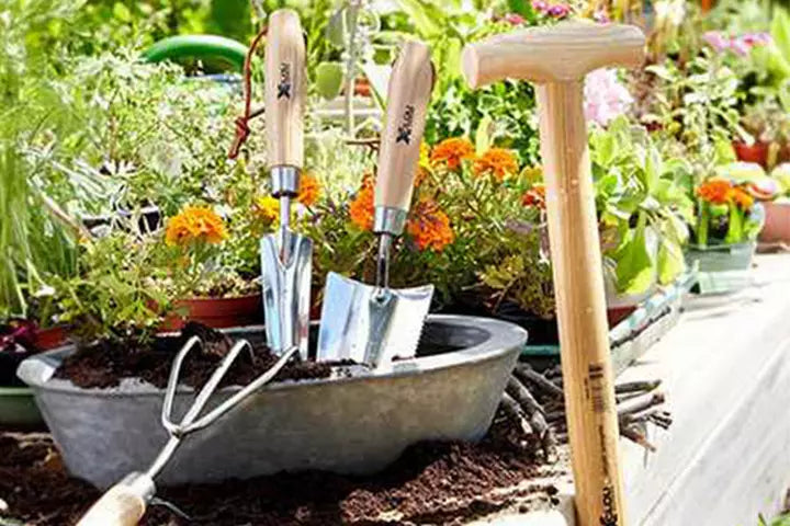 Garten & Outdoor