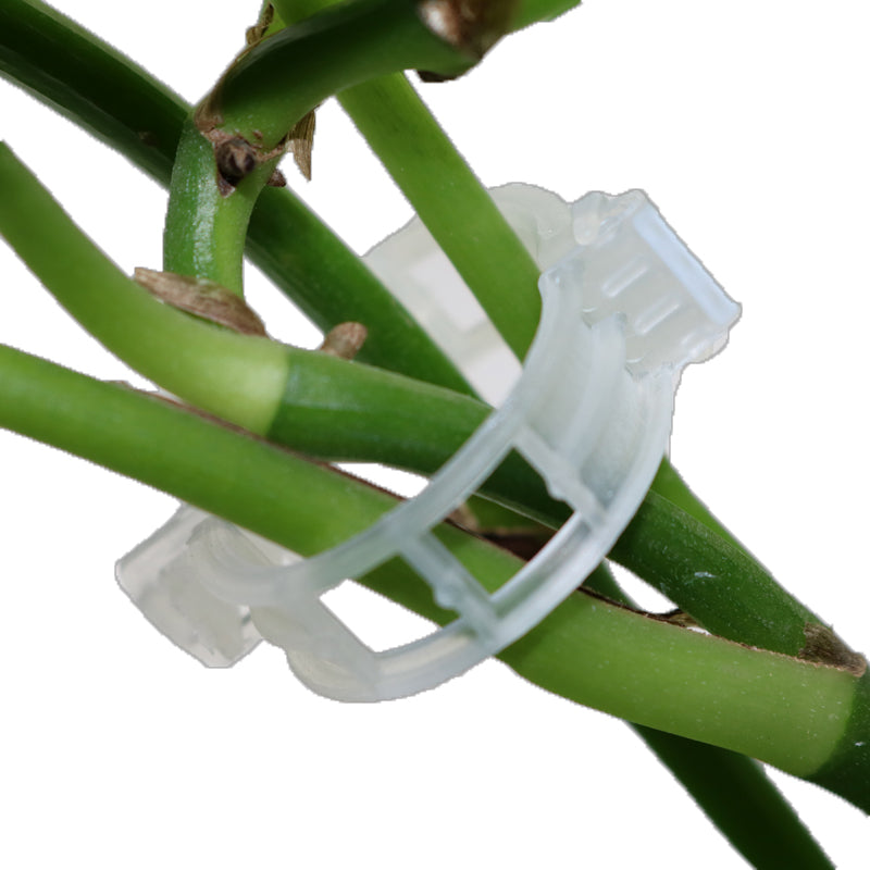 Online Planet PlantClip™ – Pflanzenclips für Tomaten, Rosen & Kletterpflanzen (50 oder 100 Stück)